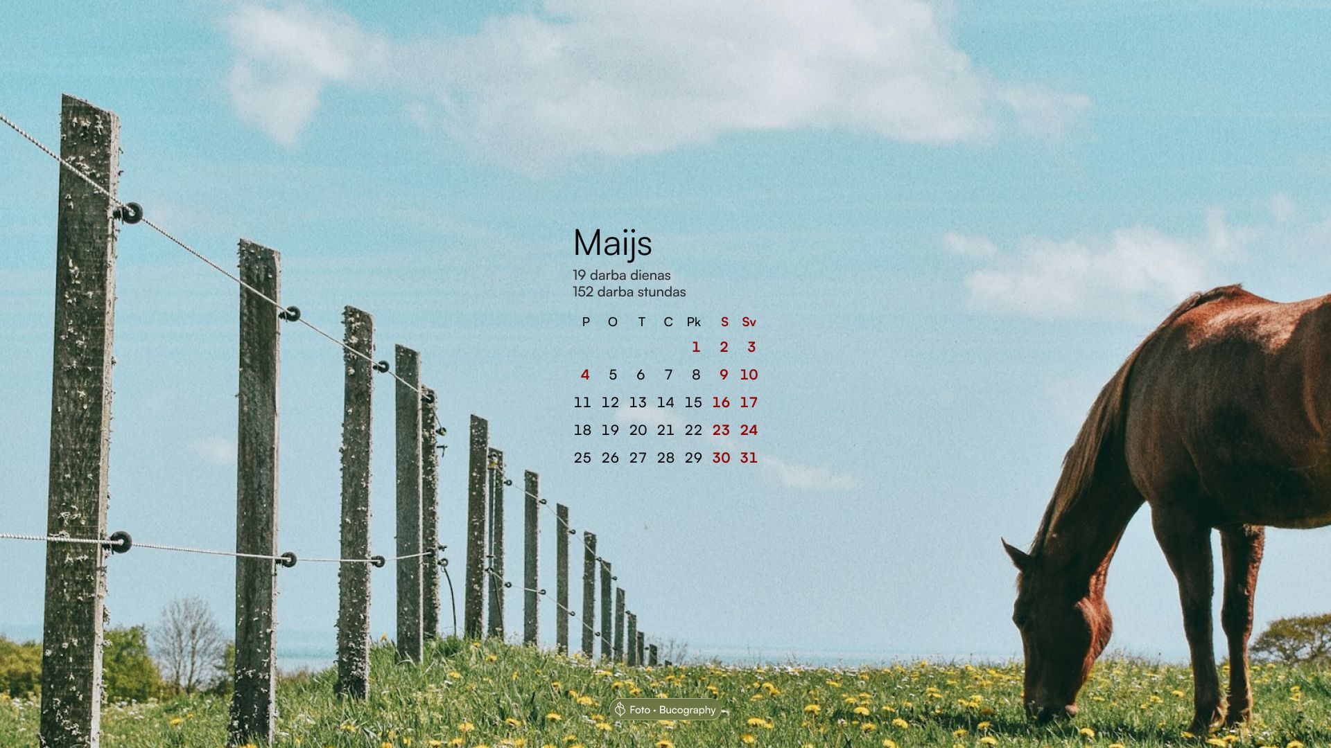 Demonstratīvs attēls