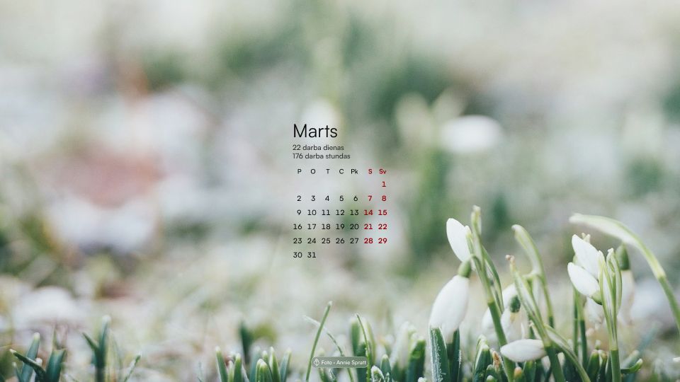 Demonstratīvs attēls